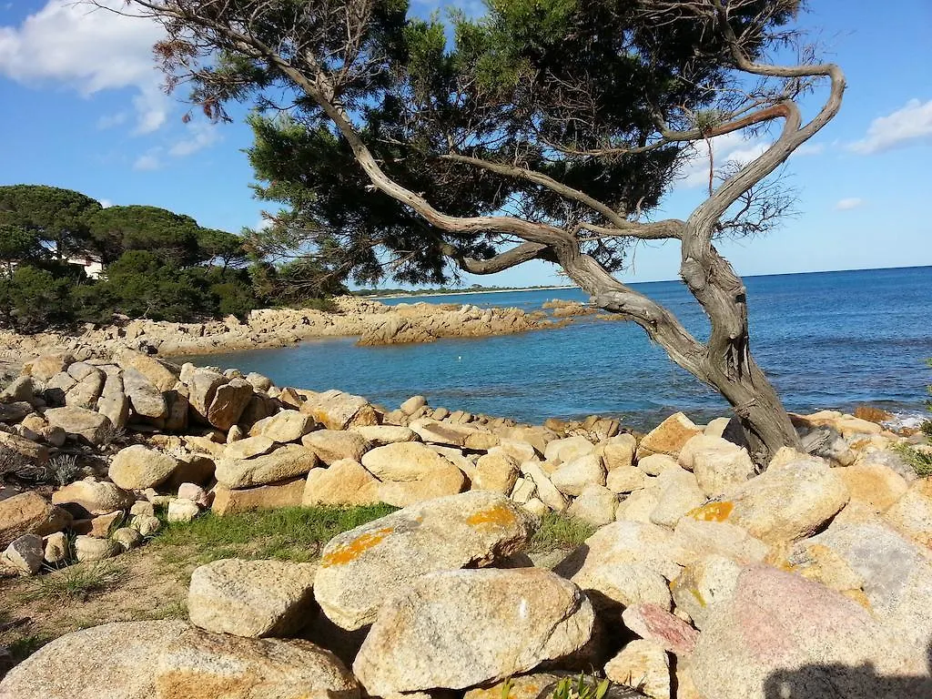 Villa Arancio Cala Liberotto